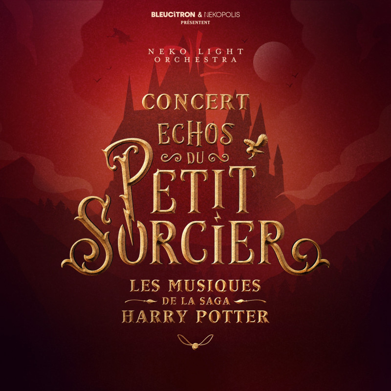 Concert aux bougies “Echos du petit sorcier”