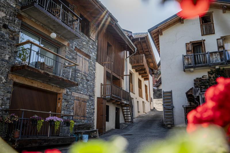 apartments and chalets - La Villette