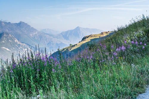 _agence-des-belleville_lv_images__imme_0000045801_01_27334766 _agence-des-belleville_lv_images__imme_0000045801_01_27334766