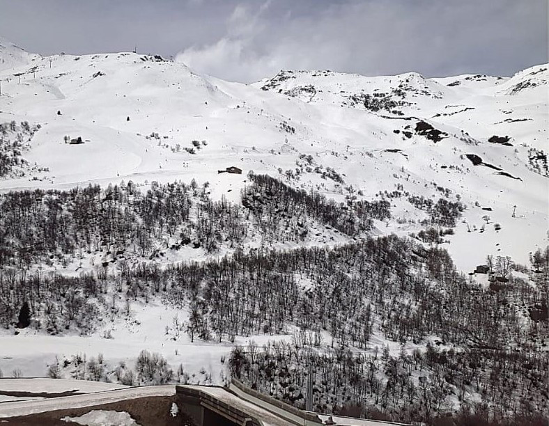 _lv_images__lot_0000000137_08_29527743 _lv_images__lot_0000000137_08_29527743