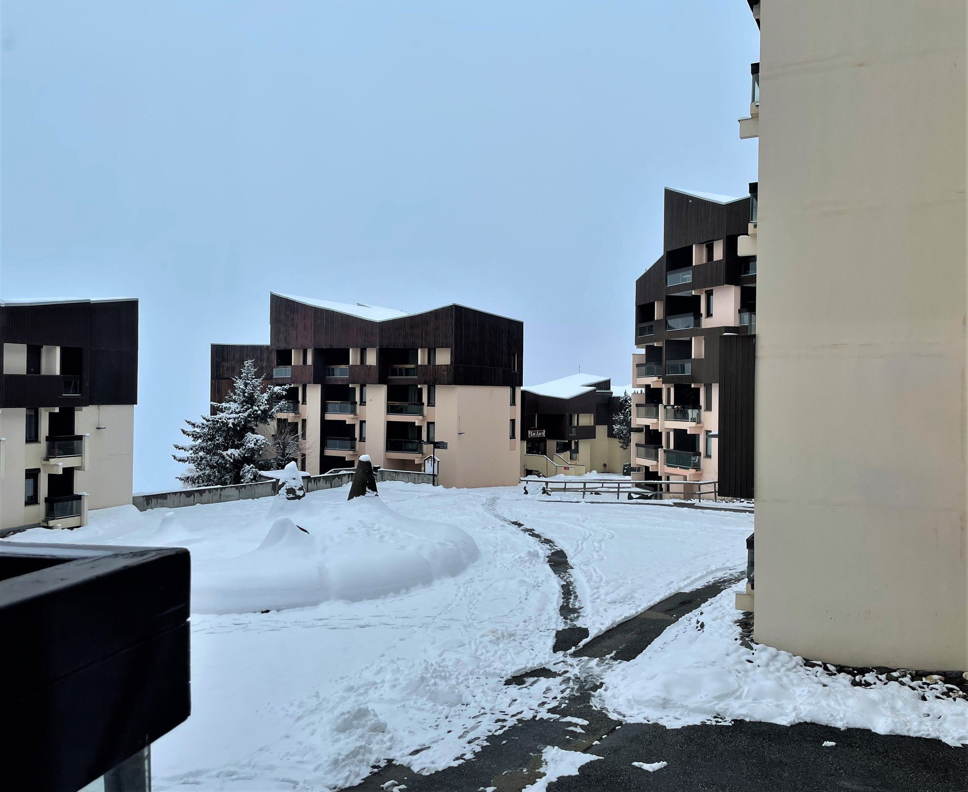 _lv_images__lot_0030240217_11_33124296