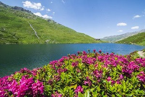 guides-belleville-ete-st-martin-les-menuires-val-thorens-rando-lac-lou-22525673